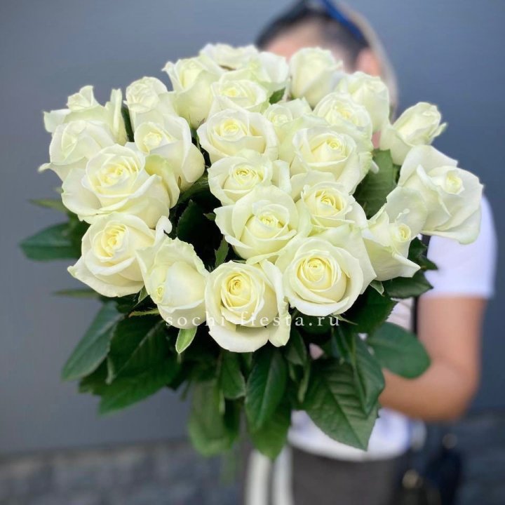 Голландские розы белые 25 с доставкой в Карловых Варах